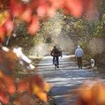 Southern New England enters the final month of the year following one of its warmest autumns on record, according to data from the National Weather Service.