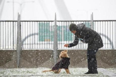 Lexy Parsons introduced her 4-month-old puppy Oliver to his first snowfall Saturday morning near TD Garden in Boston.
