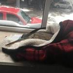 Jeanette Mercado and Christine Comforti found a heron near their office, wrapped him in a blanket, and took him inside, where they put heaters around him.