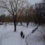  A woman walked her dog in the snow Wednesday morning in Boston?s Public Garden. 