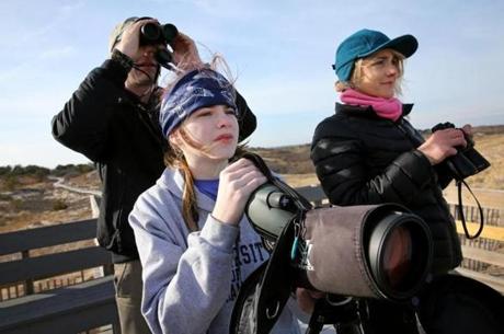 Members of Team Pigeon Nuggets (left to right) Steve Kimball and his daughter, Brynlee, 12, and Etienne Marchione looked for birds on the coast at the Parker River National Wildlife Refuge on Plum Island.
