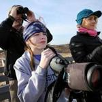 Members of Team Pigeon Nuggets (left to right) Steve Kimball and his daughter, Brynlee, 12, and Etienne Marchione looked for birds on the coast at the Parker River National Wildlife Refuge on Plum Island.