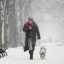 A woman walked a dog through the snow on Commonwealth Avenue in Boston earlier this month.