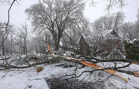SNOW SLIDER1 NEWTON,MA - 3/08/2018: One road barrier is replaced by another natural barrier as a tree on Commonwealth Ave by Arapahoe Road in Newton came down during storm (David L Ryan/Globe Staff ) SECTION: METRO TOPIC 09stormphotos
