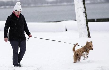 SNOW SLIDER1 Boston, MA - 3/8/2018 - A women walks a dog through snow left from a massive storm that passed throughout the North East in Boston, MA, Mar. 8, 2018. (Keith Bedford/Globe Staff)
