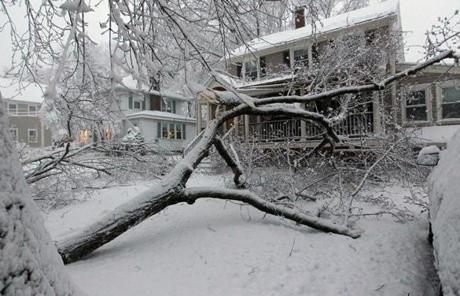 Tree limbs and wires were down in Lexington.
