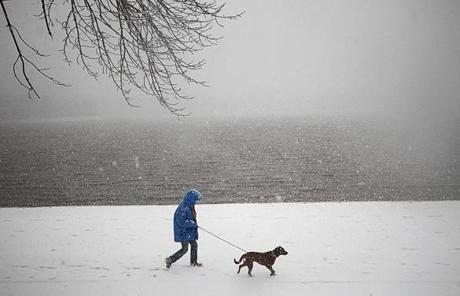 SNOW SLIDER3 Chestnuthill, MA., 03/13/18 The third Nor'easter in two weeks arrives in New England, and Mimsie Cieciuch, cq, walks her dog, Joy, at the Chestnut Hill Reservoir. Suzanne Kreiter/Globe staff
