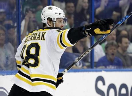 Boston Bruins right wing David Pastrnak (88), of the Czech Republic, celebrates his goal against the Tampa Bay Lightning during the first period of an NHL hockey game Saturday, March 17, 2018, in Tampa, Fla. (AP Photo/Chris O'Meara)
