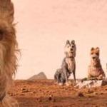 ?Isle of Dogs? is director Wes Anderson?s second foray into stop-motion animation.