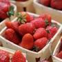 California-grown strawberries are in short supply at some Massachusetts supermarkets because of inclement weather. 