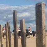 Harvard and Yale polo teams square off on the beach at Ocean House.