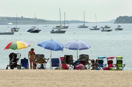 South Boston?s M Street Beach was found to be safe 100 percent of the time for swimming, according to a Save the Harbor/Save the Bay report.
