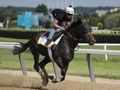 Belmont Stakes hopeful Gronkowski gallops around the track at Belmont Park, Wednesday, June 6, 2018, in Elmont, N.Y. Gronkowski is one of 10 horses racing in the 150th running of the Belmont Stakes horse race on Saturday. (AP Photo/Julie Jacobson)
