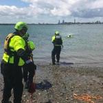 Members of the Metro Boston Water Rescue Team, including a group of Boston firefighters, trained earlier this week on Carson Beach in South Boston. 