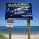 A shark warning sign stands at White Crest Beach in Wellfleet. There were seven sightings on Sunday and Monday.