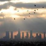 Birds fly across the sky at daybreak over the downtown Los Angeles skyline on December 14, 2011. According to the state's Air Resources Board earlier this month, California has the worst air quality in the country, with 40 percent of pollution contributed by passenger cars and light-duty trucks. AFP PHOTO / Frederic J. BROWN (Photo credit should read FREDERIC J. BROWN/AFP/Getty Images)