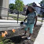 Ekua Holmes has launched the Roxbury Sunflower Project and hopes to plant 10,000 sunflowers in the neighborhood. She watered the beds after planting seeds outside of the Freedom House.