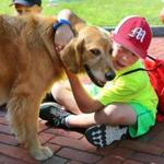 Colin Carlson, 8, enjoyed a hug with Dawn, the therapy dog that visited the kids at Camp Kangaroo.