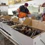 Nick Keefer (left) packed lobsters bound for China with a co-worker at Maine Coast in York, Maine, in 2015.