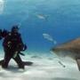 names -- Rob Gronkowski with sharks. (Discovery Channel)