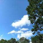 Natick was full of blue skies Tuesday.