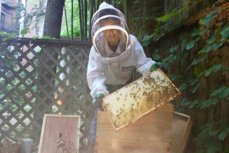 Paige Wulhern with a hive in the South End. She is a beekeeper with Best Bees, which manages urban hives around New England. 
