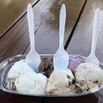 The Cape Cod Creamery in South Yarmouth offers a flight of ice creams called a sampler boat.