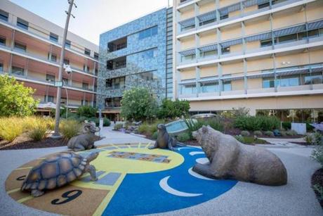 A variety of native California animal statues populate the Dunlevie Garden at the new Lucile Packard Children?s Hospital at Stanford in Palo Alto, Calif.

