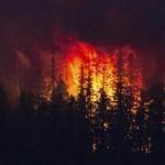 The Howe Ridge Fire burned at Glacier National Park, Mont., last weekend.