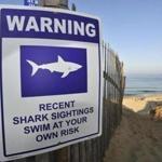 The sightings and the Race Point Beach closure came a day after a man was bitten by a shark at Long Nook Beach in Truro.