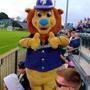 Jake the Lion is the mascot of the Worcester Bravehearts. 