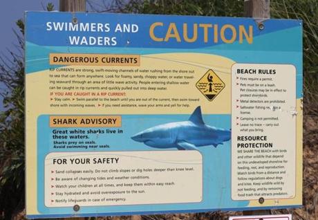 A shark warning sign at Long Nook Beach in Truro, as pictured earlier this month.
