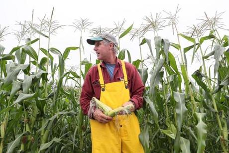 ?Our goal is to have perfect corn here every day in the summer.? Leominster farmer Paul Gove says. 
