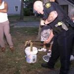 Police lifted a boa constrictor out of a bucket in Hyannis. The large snake bit a man before the police arrived.