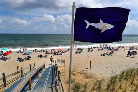 Orleans-08/31/18-A shark flag blows in the wind at an entrance point to Nauset Beach. Shark sightings are almost a daily occurence on the Cape and especially at Nauset Beach, where beach life goes on as usual. Photo by John Tlumacki/Globe Staff(metro)
