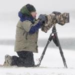 MassWildlife photographer Bill Byrne hunkered behind his Nikon and sought to capture long-tailed ducks during a blizzard on a Nantucket beach.
