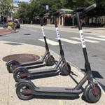 As Cambridge officials begin to develop new rules of the road for electric scooters (pictured in Rhode Island) that can be rented with a smartphone app, officials say it will probably be months before they can welcome them back.