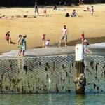 A shark net surrounded a swim area at Manly Cove in New South Wales, Australia. 