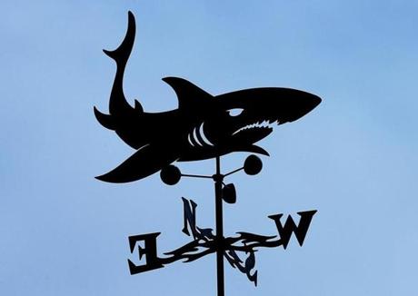 Orleans-09/20/18 How will the shark attack death affect Cape Cod's embrace of everything shark. A shark weathervane atop a totem pole of signs at Nauset Beach. Photo by John Tlumacki/Globe Staff(business) 
