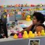 Aracelis Mercado has accumulated a duck collection that dominates her desk area. She works for Massachusetts Teachers Association president Merrie Najimy.