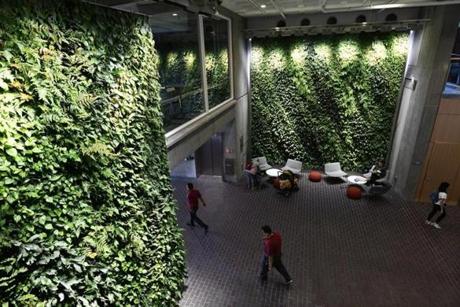 CAMBRIDGE, 9/15/2018 - Living walls line the sides of the central corridor of Harvard University's Smith Campus Center, within the building formerly known as the Holyoke Center, by architect José Luis Sert 1966 on Massachusetts Avenue, in Harvard Square, between Dunster and Holyoke streets. (Josh Reynolds for The Boston Globe ((arts, campbellr) 
