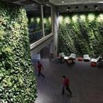 CAMBRIDGE, 9/15/2018 - Living walls line the sides of the central corridor of Harvard University's Smith Campus Center, within the building formerly known as the Holyoke Center, by architect José Luis Sert 1966 on Massachusetts Avenue, in Harvard Square, between Dunster and Holyoke streets. (Josh Reynolds for The Boston Globe ((arts, campbellr) 