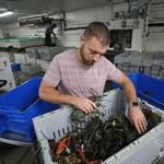 Matt Egan, a salesman for Boston Lobster Company, says the toughest part of his trade is anticipating demand.