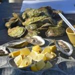 Nonesuch Oyster Farm tour guests finish with fresh oysters.