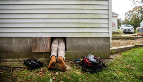 10/20/2018 MARBLEHEAD, MA Rich Cyr (cq), lead technician from B & B Pest Control, enters a crawl space to place rat traps at a home in Marblehead. ***Note: owner refused to be photographed and doesn't want address shared published. (Aram Boghosian for The Boston Globe)
