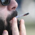 Boston MA 4/20/18 Marijuana enthusiast smokes a marijuana cigarette to celebrate 4/20, a secret code about smoking marijuana in the Boston Common (photo by Matthew J. Lee/Globe staff) topic: 22quickbitepic reporter: