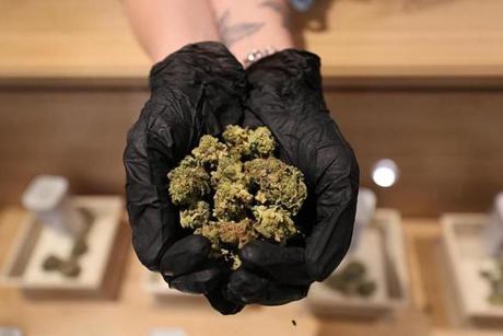 Leicester, MA., 11/07/2018 This is a the medical marijuana shop Cultivate Holdings. This is one of the first pot shops set to start selling recreational marijuana. It currently sells medical marijuana. Suzanne Kreiter/Globe staff 
