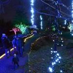 Holiday lights displayed at Tower Hill Botanic Garden in Boylston.