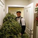 Jeff Feccia was a welcome sight delivering trees in South Boston.