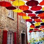 QUEBEC CITY, Sept. 29. I've spotted these umbrella art displays in several cities, but I was particulary fond of this one in Quebec. It seemed like a perfect match to the season and surrounding colors.